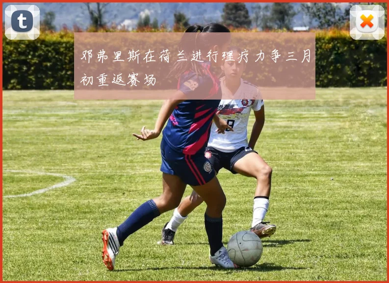 邓弗里斯在荷兰进行理疗力争三月初重返赛场