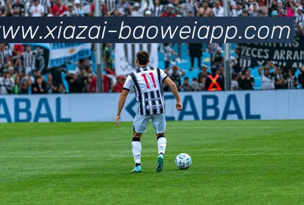 App Interface Preview